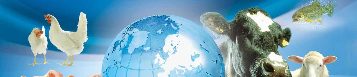 EuroTier | Digital banner ilikevents