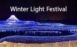 Kuwana Nabana no Sato Illumination ilikevents
