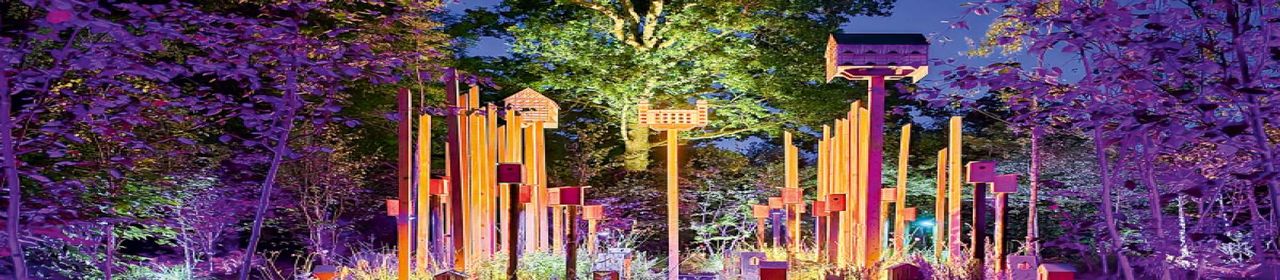 International Garden Festival banner ilikevents
